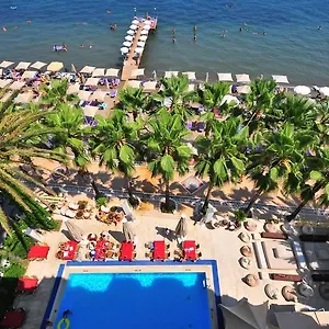 Hotel Palm