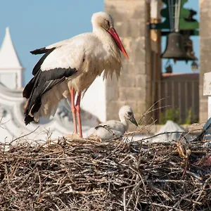 Hostel Stork Olhao