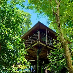 Resort Rainforest Retreat Cairns